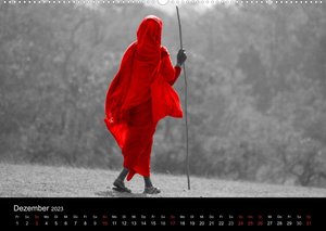 Blickfang in Rot (Wandkalender 2023 DIN A2 quer)