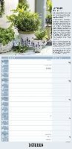 Kräuter & Gewürze 2023 - Streifenkalender 22x45 cm - mit Extraspalte für Geburtstage - Küchentipps und Mondphasen - Wandkalender - Terminplaner