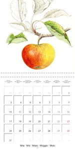 FRUITS SELECTED PAINTINGS BY YANNY PETTERS (Wall Calendar 2021 300 × 300 mm Square)