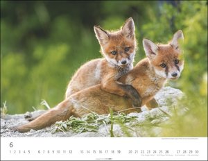 Heimische Wildtiere Kalender 2022