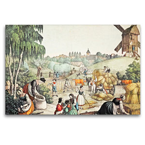 Premium Textil-Leinwand 120 cm x 80 cm quer Feldernte (Sommer), Künstler: Carl Wilke (1800-1876)