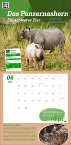 WAS IST WAS Tierwelt Broschurkalender 2026