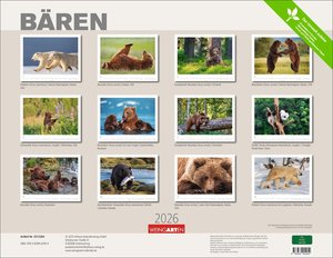 Bären 2026