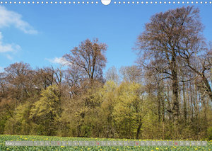 Münsterland - Vielfältige Schönheit (Wandkalender 2023 DIN A3 quer)