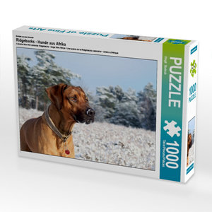 CALVENDO Puzzle Ein Motiv aus dem Kalender Ridgebacks - Hunde aus Afrika 1000 Teile Puzzle quer