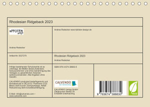 Rhodesian Ridgeback 2023 (Tischkalender 2023 DIN A5 quer)