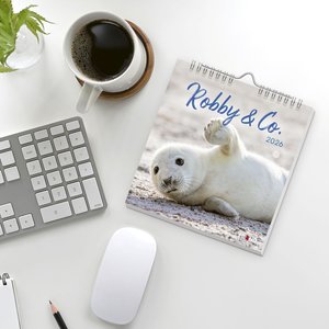 Robby & Co. Postkartenkalender 2026