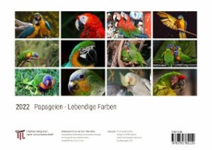 Papageien - Lebendige Farben 2022 - White Edition - Timokrates Kalender, Wandkalender, Bildkalender - DIN A4 (ca. 30 x 21 cm)