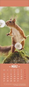 Eichhörnchen Lesezeichen & Kalender 2023