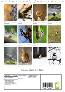 Heimische Vögel in Ihren Gärten (Wandkalender 2023 DIN A4 hoch)