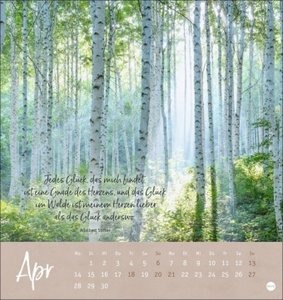 Unser Wald Postkartenkalender 2025