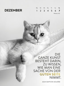 Wochenkalender 2025: Goldene Katzenweisheiten für jeden Tag