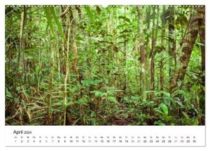 Mythos Amazonas - Naturparadies Brasiliens (hochwertiger Premium Wandkalender 2024 DIN A2 quer), Kunstdruck in Hochglanz