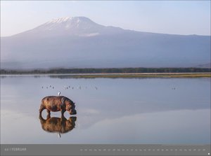 Afrika - Edition Alexander von Humboldt 2026