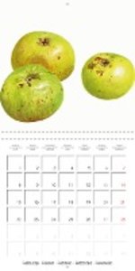 FRUITS SELECTED PAINTINGS BY YANNY PETTERS (Wall Calendar 2021 300 × 300 mm Square)