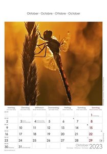 Gartenfreunde 2023 - Bildkalender 23,7x34 cm - Kalender mit Platz für Notizen - mit vielen Zusatzinformationen - Wandkalender - Alpha Edition