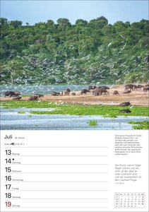 Naturschätze Afrikas Wochenplaner 2026