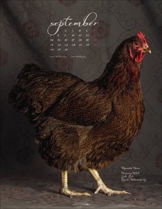 Pretty Chicks 2026