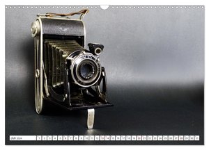 Balgen- und Boxkameras - Analoge Erinnerungsstücke (Wandkalender 2024 DIN A3 quer), CALVENDO Monatskalender
