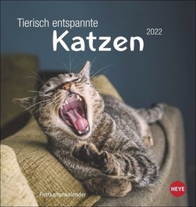 Tierisch entspannte Katzen Postkartenkalender 2022