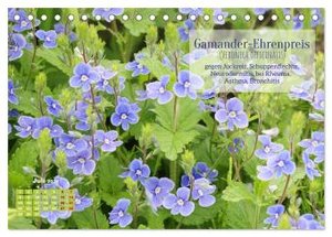 Heilpflanzen - Schätze im Garten (Tischkalender 2024 DIN A5 quer), CALVENDO Monatskalender