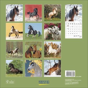 Horses 2025