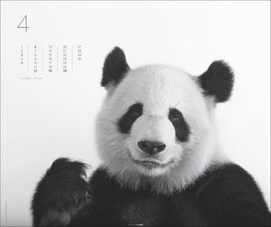 Black & White Animals 2026