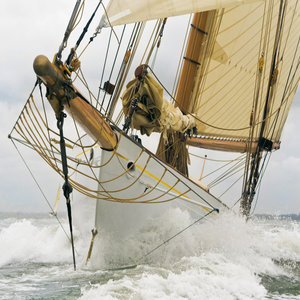 Regatta 2022