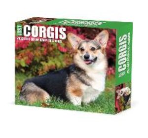 CORGIS 2022 BOX CAL