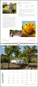 Mein leckerer Garten 2022