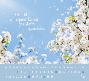 Mini-Kalender 2025: Der kleine Glückskalender