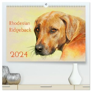 Rhodesian Ridgeback 2024 (hochwertiger Premium Wandkalender 2024 DIN A2 quer), Kunstdruck in Hochglanz