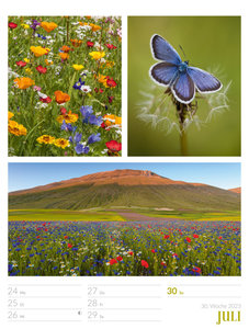 Farben der Natur - Wochenplaner Kalender 2023