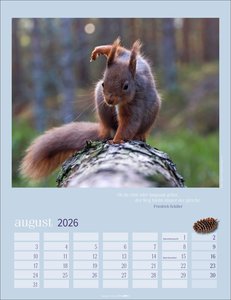 Eichhörnchen Kalender 2026