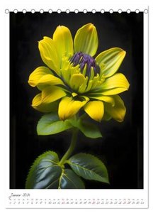 Flora Fantastica (Tischkalender 2024 DIN A5 hoch), CALVENDO Monatskalender