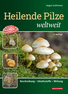 Heilende Pilze weltweit