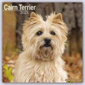 Cairn Terrier - Cairn Terrier 2023 - 16-Monatskalender