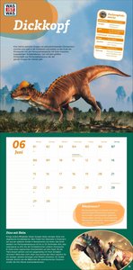 WAS IST WAS Dinosaurier Broschurkalender 2026