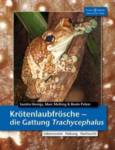 Krötenlaubfrösche - Die Gattung Trachycephalus