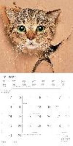 Funny Cats 2023 - Broschürenkalender 30x30 cm (30x60 geöffnet) - Kalender mit Platz für Notizen - Katzen - Bildkalender - Wandplaner - Katzenkalender