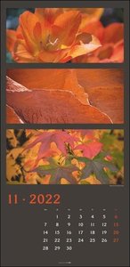 Die Farben der Natur Kalender 2022