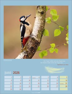 Heimische Vögel Kalender 2026