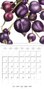 FRUITS SELECTED PAINTINGS BY YANNY PETTERS (Wall Calendar 2021 300 × 300 mm Square)