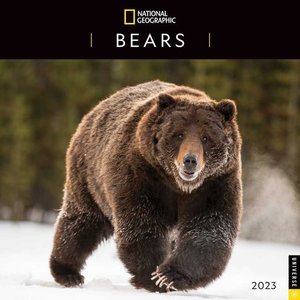 National Geographic: Bears of the World 2023 Wall Calendar