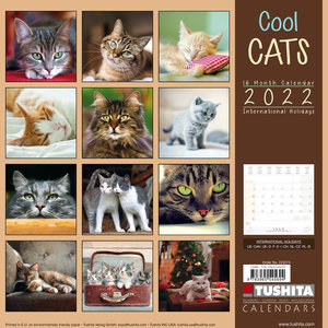 Cool Cats  2022