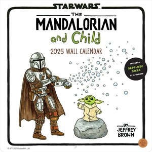 Star Wars: The Mandalorian and Child 2025
