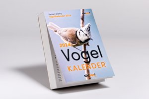 Vogelkalender 2024  - Tagesabreißkalender zum Aufstellen oder Aufhängen