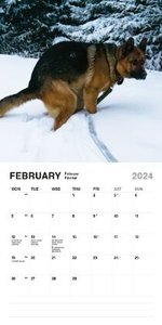 Kackende Hunde - Der Pooping Dogs Kalender 2024