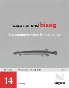 Einstein für Quanten-Dilettanten Tagesabreißkalender 2026