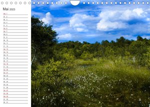 Worpswede - Naturschönheiten im Teufelsmoor (Wandkalender 2023 DIN A4 quer)